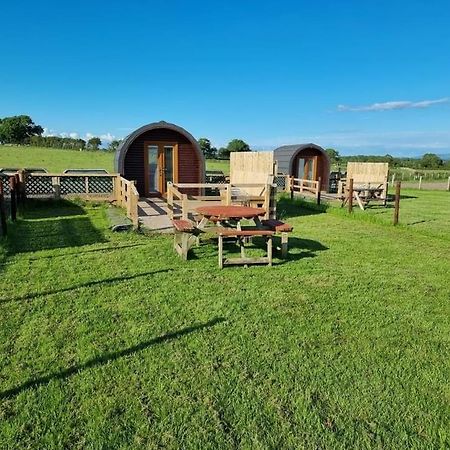 Unit 4 - Skiddaw View Camping Pod カーライル エクステリア 写真
